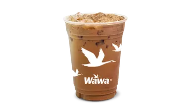 Mocha Fresh Brewed Iced Coffee