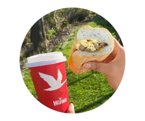 Wawa Breakfast Hoagies