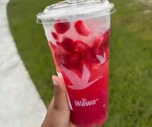 Wawa Iced Beverages